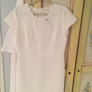 Club Monaco Dresses - NWT- club Monaco dress, white Club Monaco Dresses - NWT- club Monaco dress, white